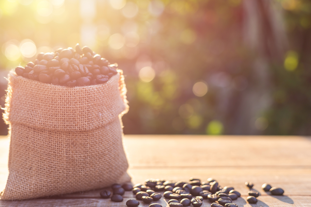 El proceso de producción del café en 4 pasos