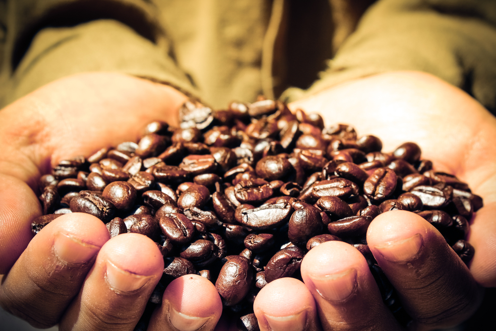 El café desplaza al vino como la bebida más popular entre los paladares más exquisitos