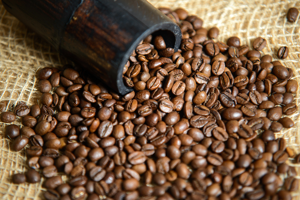 Especies y variedades de café (Parte 2)