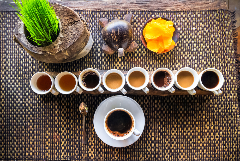¿Conoces las diferencias entre el café robusta y la variedad arábica?