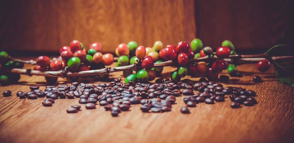 ¿Conoces el verdadero origen del café?