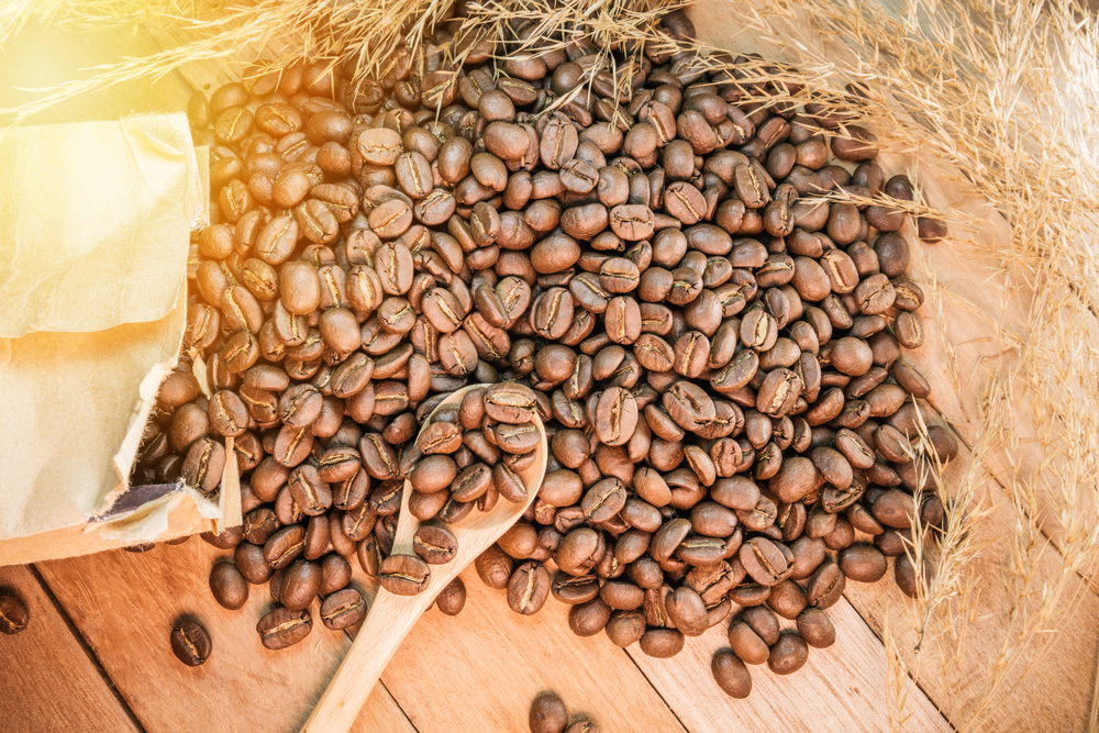 El futuro del café está en riesgo