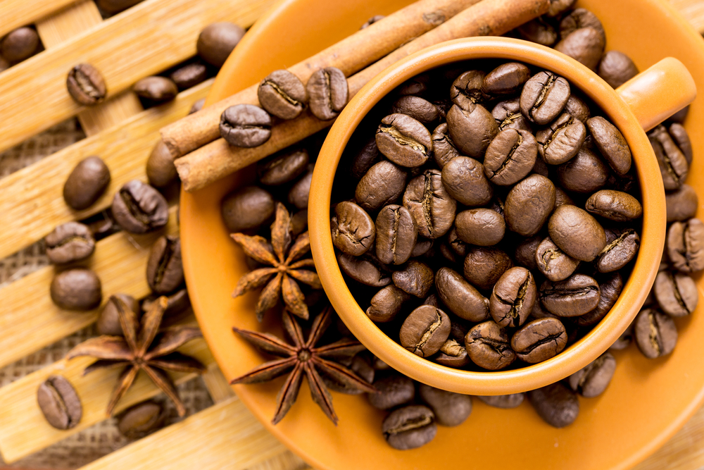 Especies y variedades de café (Parte 1)